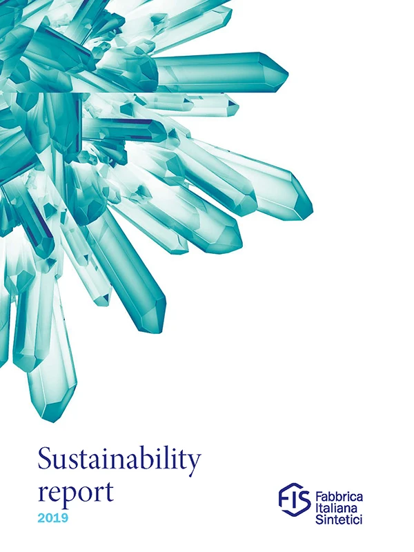 cover-fis-sustainability-report-2019-2-en copia