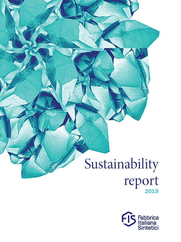 cover-fis-sustainability-report-2019-en copia