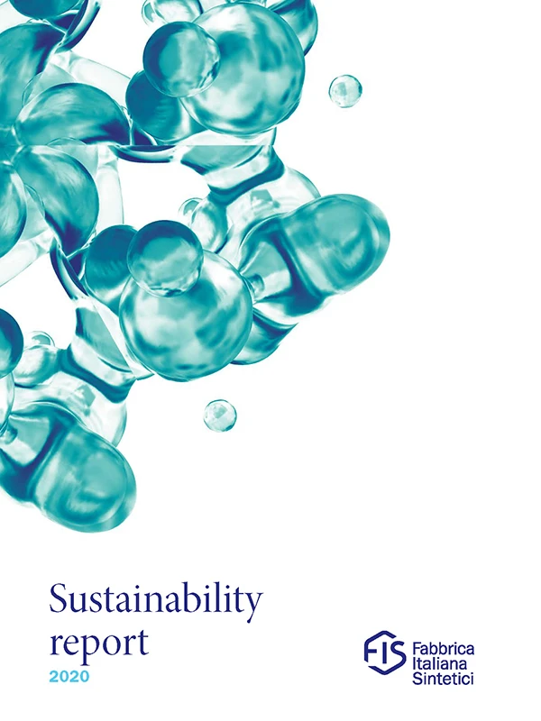 cover-fis-sustainability-report-2020-en copia
